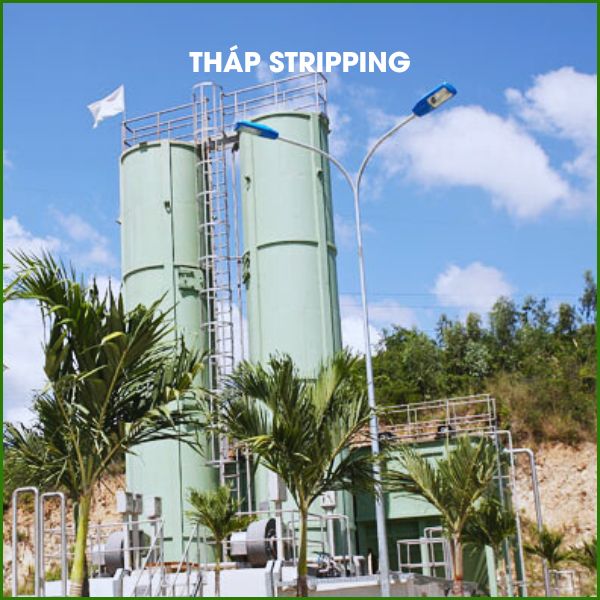 thap stripping 1