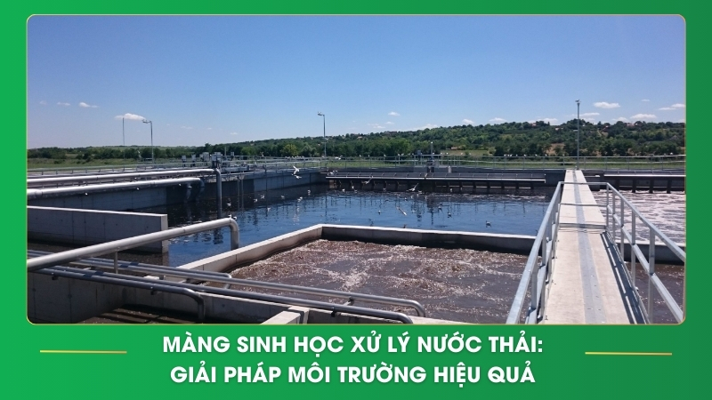 mang sinh hoc xu ly nuoc thai3 1