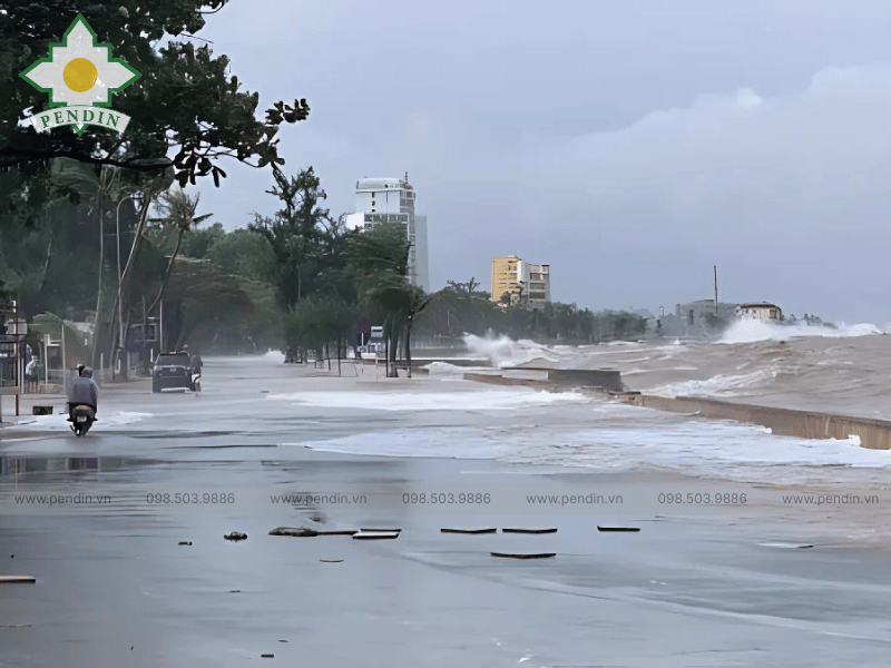 Hình ảnh triều cường dâng cao ở ven biển Bắc Bộ (Báo: Nông Nghiệp)