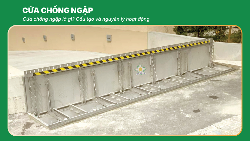 cua chong ngap