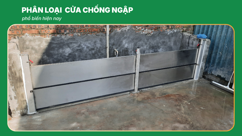 phan loai cua chong ngap