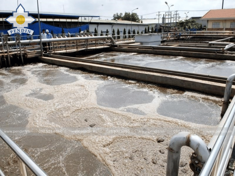 Váng bùn nổi trên bể lắng
