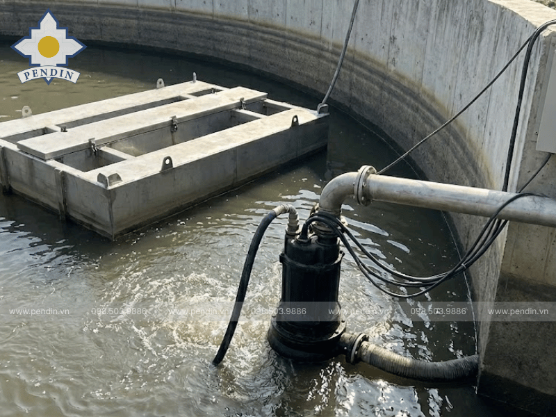 Decanter dạng bơm