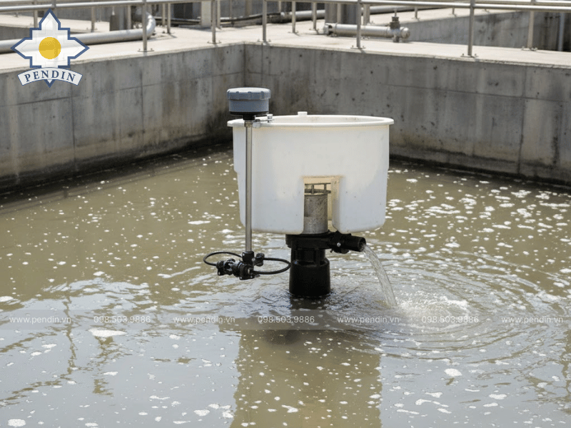 mua decanter thu nước