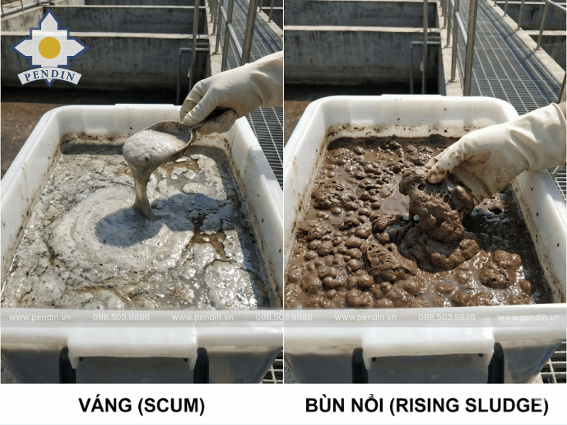váng bùn nổi trong nước thải
