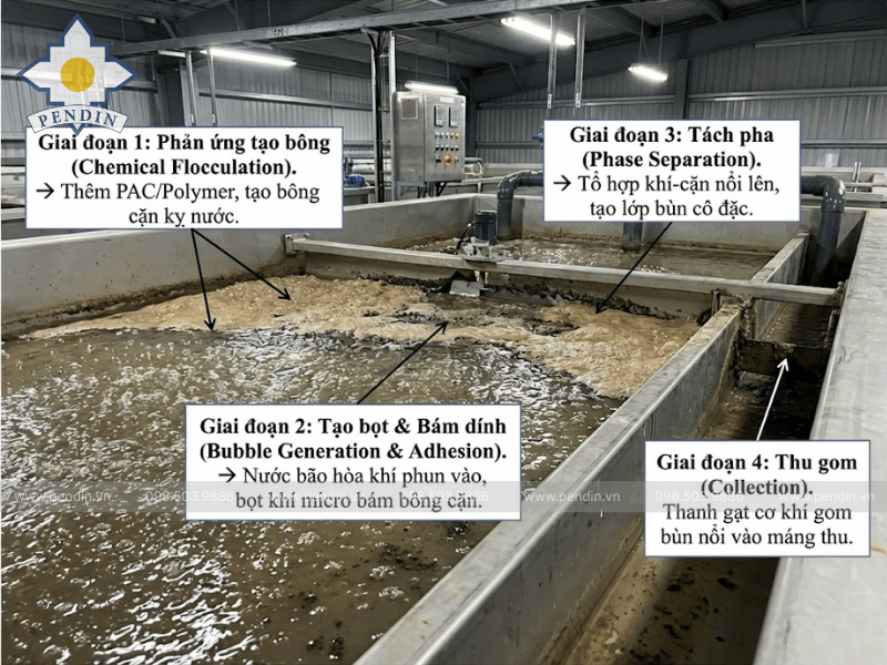 Nguyên lý hoạt động chi tiết của hệ thống DAF