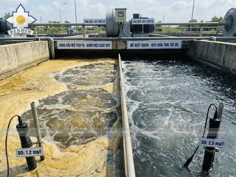 váng tích tụ bể xử lý