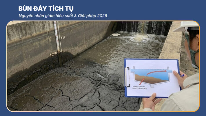 Bùn đáy tích tụ