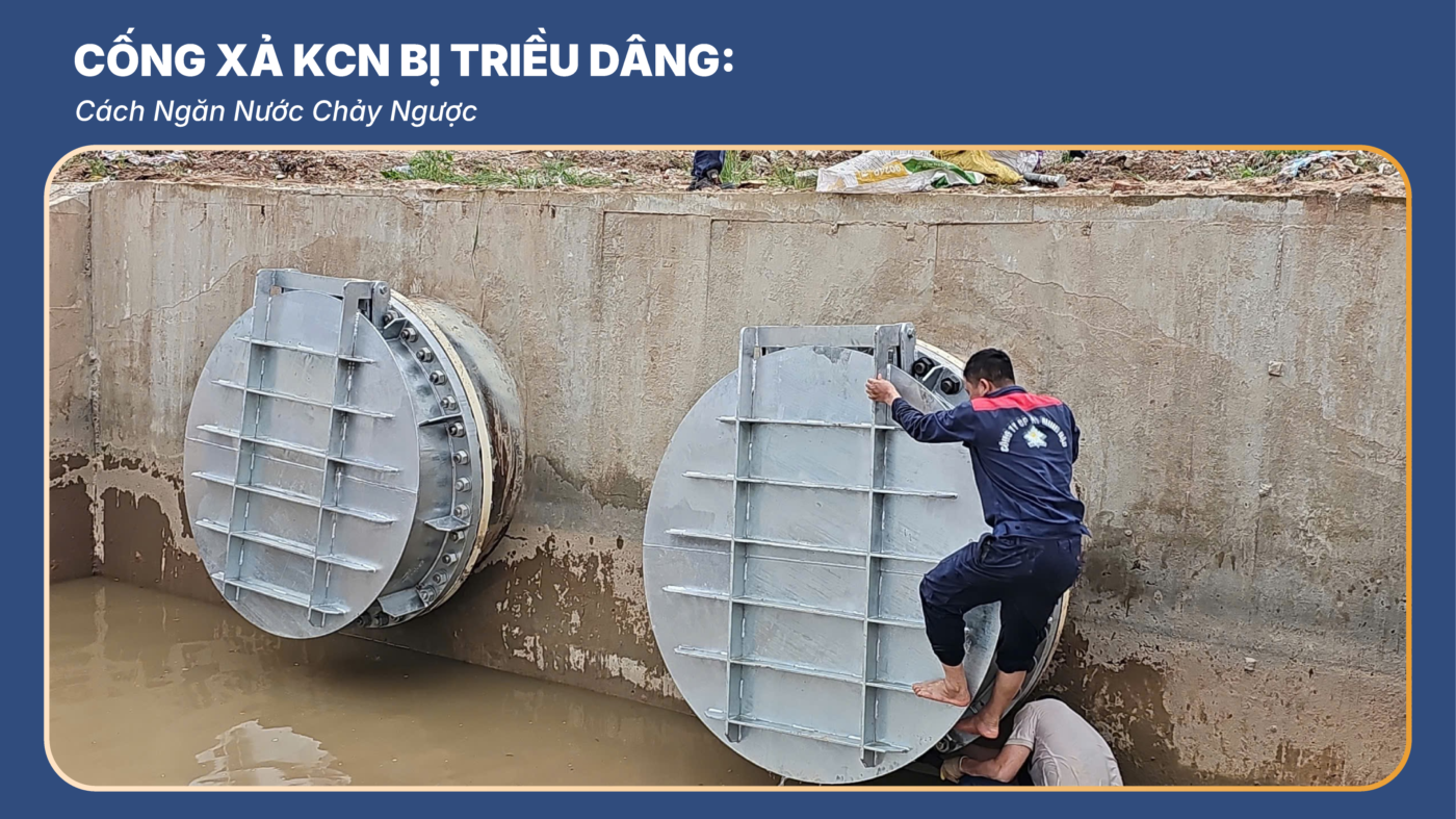Cống Xả KCN Bị Triều Dâng