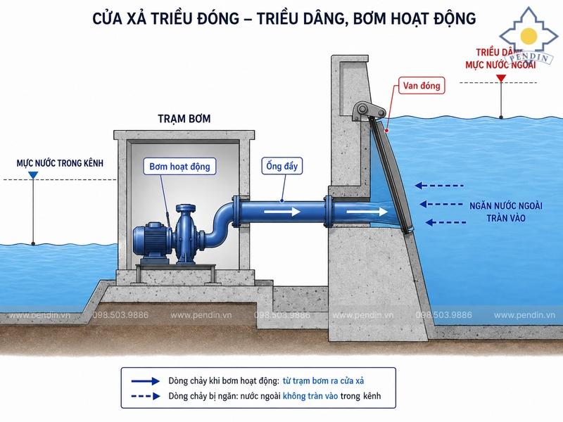Sơ đồ van đóng khi triều dâng và bơm hoạt động